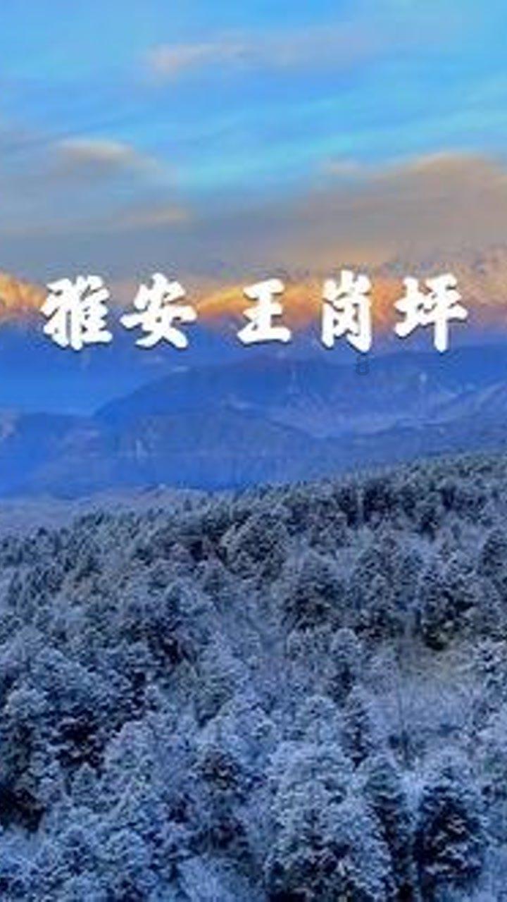 拯救小学生