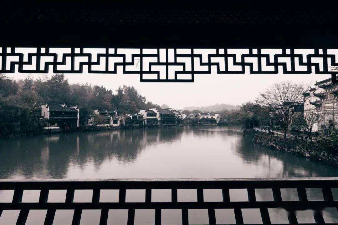你给宠物买的最没用的东西是什么？ -全方位有问必答平台