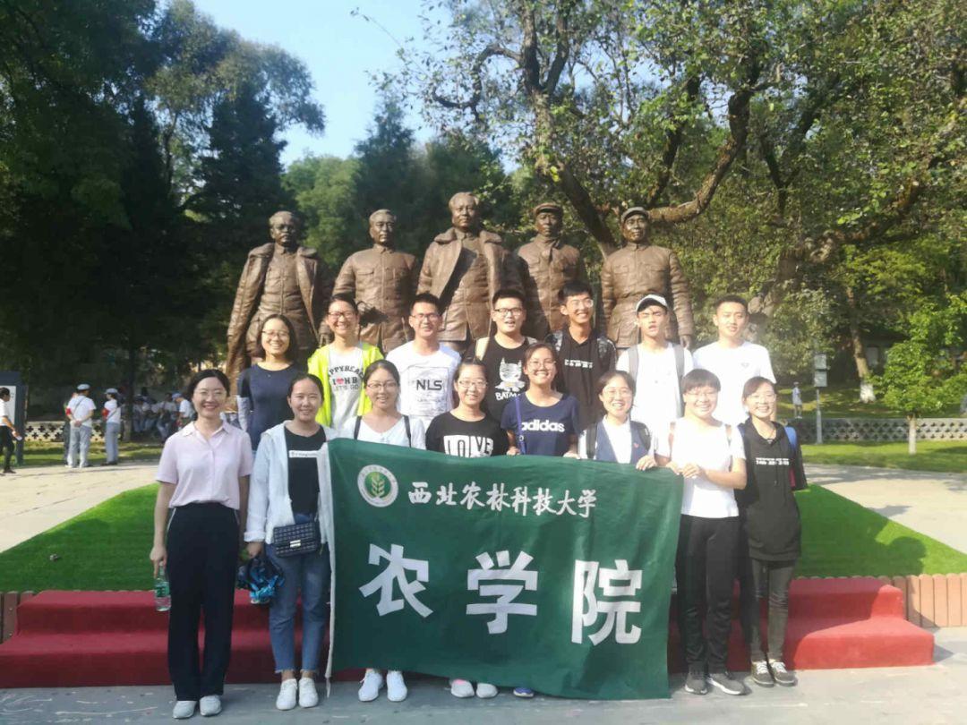 超黄金街霸4