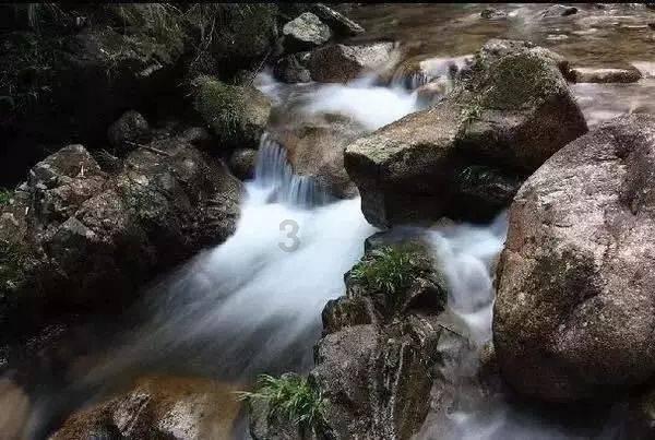 狂野的飙客