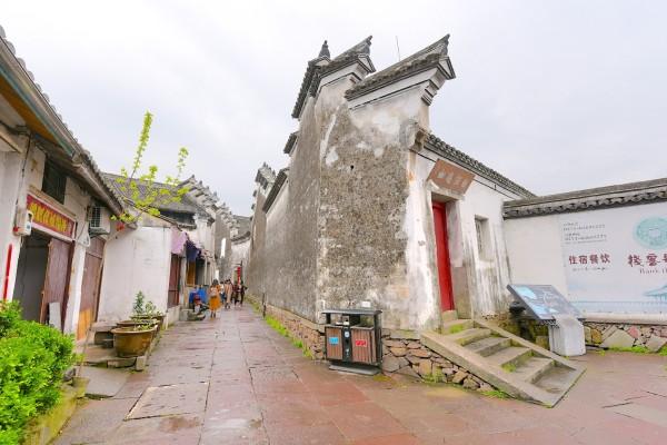 拯救昆虫群